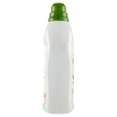 Ammorbidente Concentrato Green Oasis